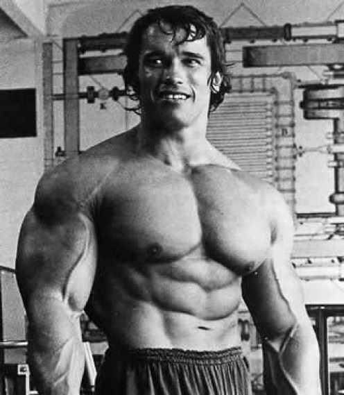 Arnold Schwarzenegger in his prime (harneet1.hubpages.com ())