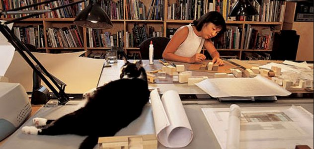 Maya Lin working with her cat, Ranch (www.smithsinianmag.com/artsculture/ ())