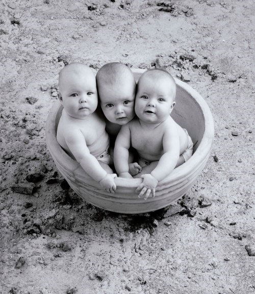 A picture of Anne Geddes work (Anne Geddes Galleries (Anne Geddes))