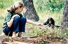 Jane Goodall and fifi (http://crimesagainstnature.blogspot.com/)