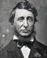 Picture of Henry David Thoreau