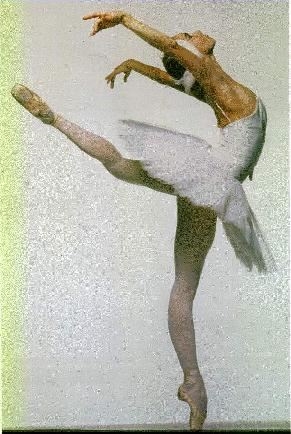 Rosa Laura Cantu | MY HERO