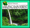 Picture of Amazing Rain Forest