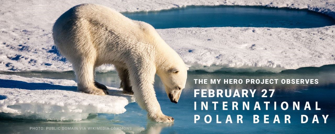 International Polar Bear Day MY HERO