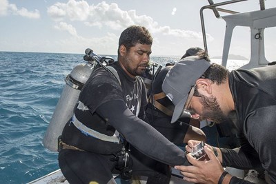 After hurricane Maria, he's helping the ocean – and its fishers ...