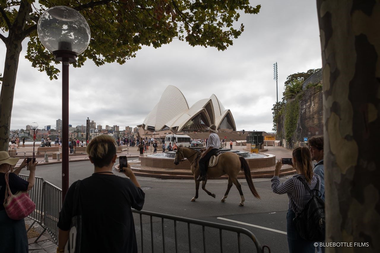 Picture of The man who rode his horse across the harbour bridge