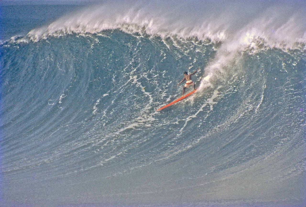 Eddie Would Go: The Story of Eddie Aikau, Hawaiian Hero and Pioneer of Big  Wave Surfing