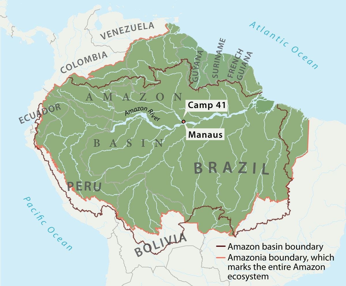 Camp Amazon: Inside the 'lungs of the Earth' | MY HERO