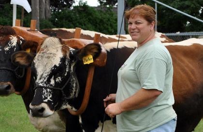 Dr. Brenda Grettenberger with her lovely Oxen (https://www.pinterest.com/pin/558727897499029172/ ())