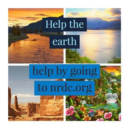 Picture of Help the earth by Noah