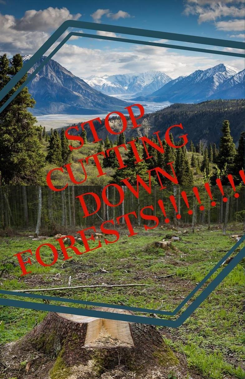 Picture of Stop Cutting Down Forests
