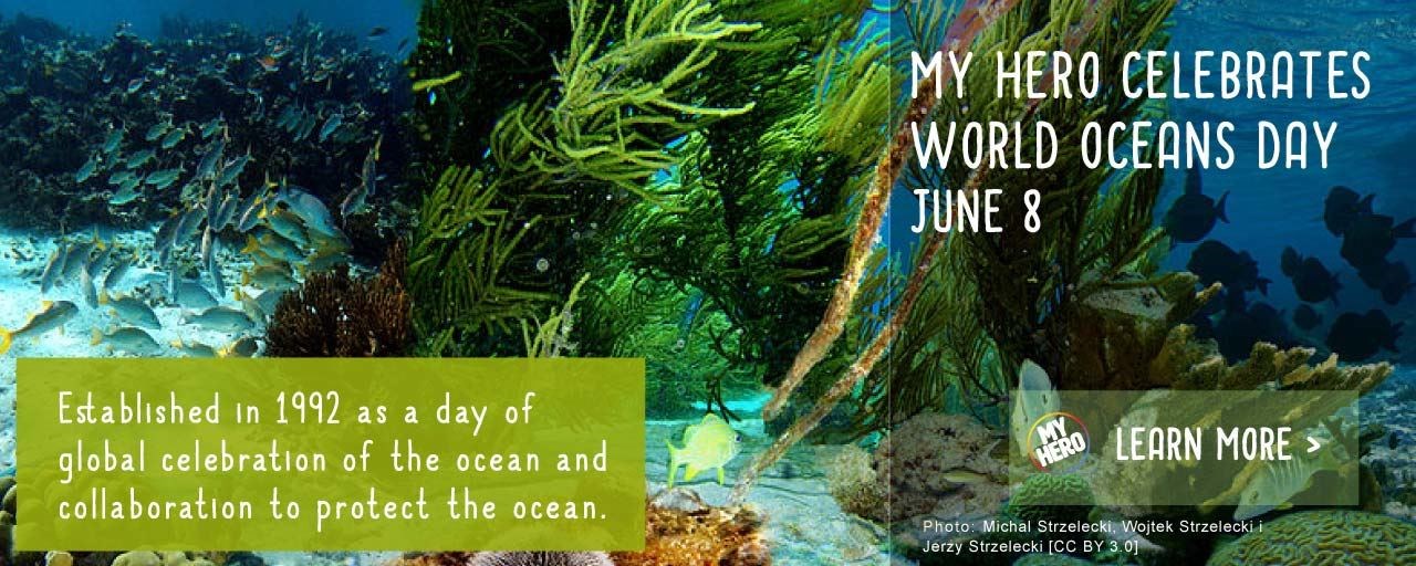 World Oceans Day June 8