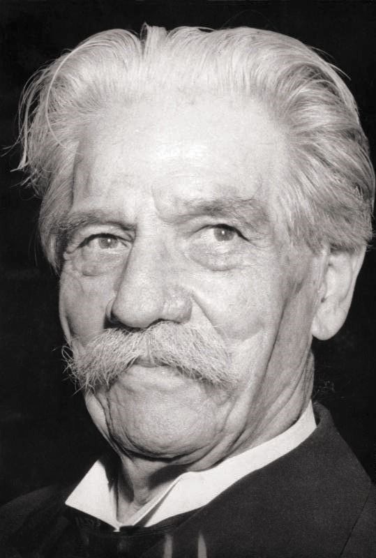 Picture of Albert Schweitzer