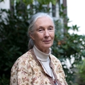 Picture of Jane Goodall
