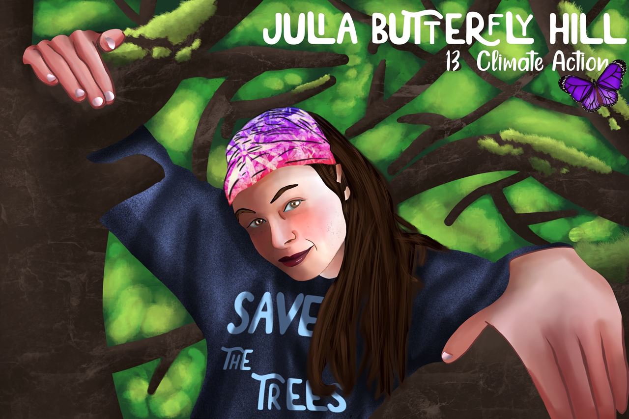 Picture of My Tree Top World- Julia Butterfly Hill