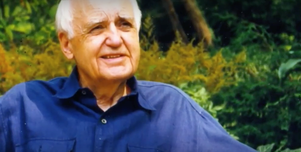 Picture of THANK A HERO: MAURICE HILLEMAN