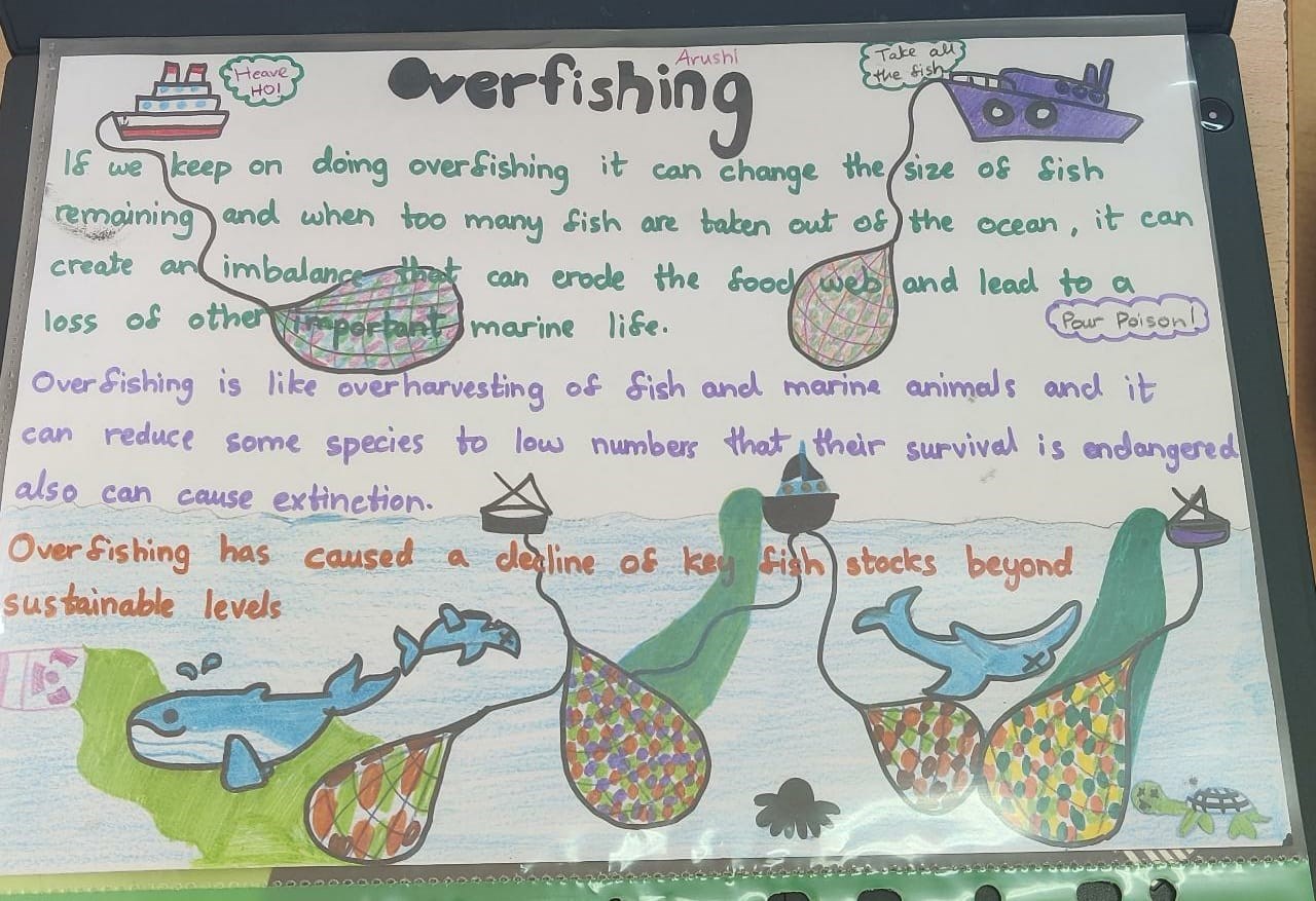 Picture of Overfishing