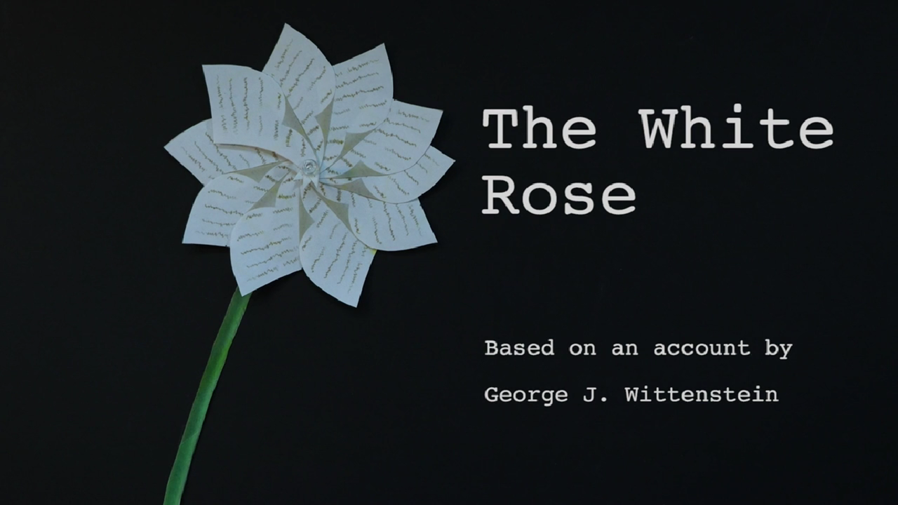 Animated white rose