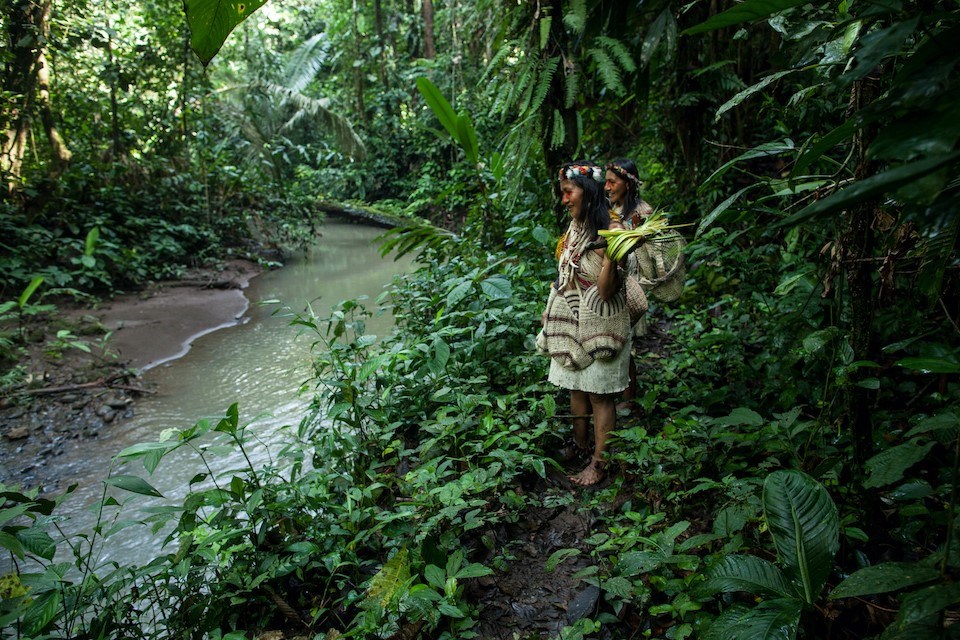 Picture of Amazon Frontlines: "Who Should Decide the Future of the Amazon?"