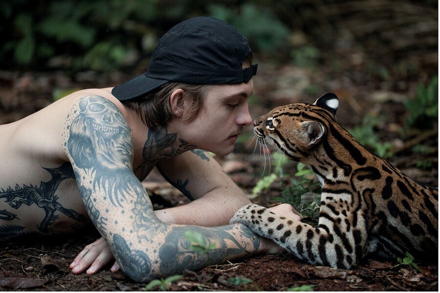 Picture of On film: A veteran finds healing, with help from an orphaned ocelot