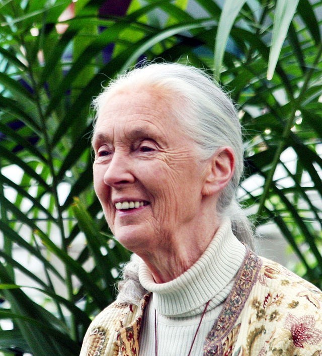Picture of Dame Jane Goodall: World Expert in Chimpanzees (Early-Reader Edition)
