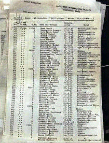 Schindler's List<br> (http://isurvived.org/Pictures_<br>Isurvived/schindlersLIST.gif)