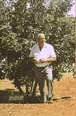 Oskar Schindler stands next to the tree<br> planted in honor of his rescue efforts<br>(http://www.ushmm.org/museum/exhibit/<br>focus/schindler/schindler.php)
