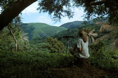  (www.janegoodall.org)