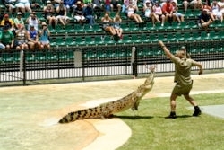 Steve Feeding Crock (http://en.wikipedia.org/wiki/Steve_Irwin)