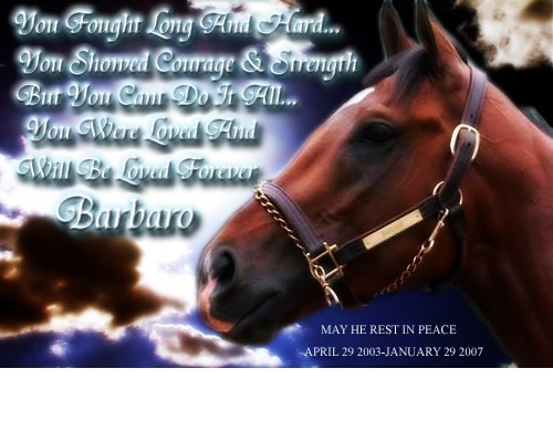 this is a short poem about Barbaro. (http://i145.photobucket.com)