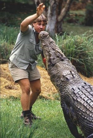Steve Close to Crocodile (curbplaces.com)