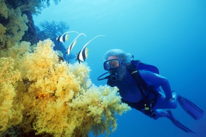 This is Jacques in the ocean. (google.com/images)