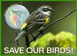 Birds need help too. <br>(http://media.photobucket.com/image/saveourbirds/philoche01/animal%20welfare/saveourbirds.jpg)