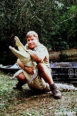 Steve Irwin with croc (www.flickr.com)
