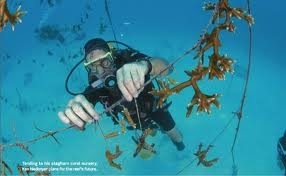 Ken under water (sportdiver.com)