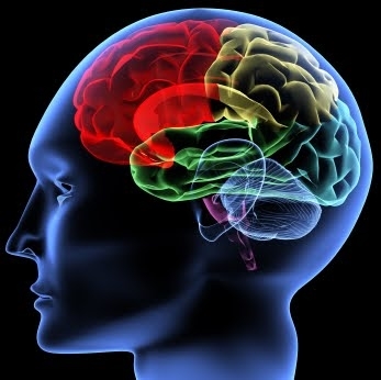 Human Mind (google.com (Unknown))