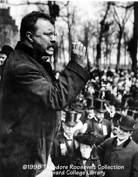(http://www.theodoreroosevelt.org/graph%20harv%20col/HC2x1.jpg)