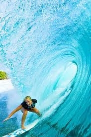  (Google Images ())