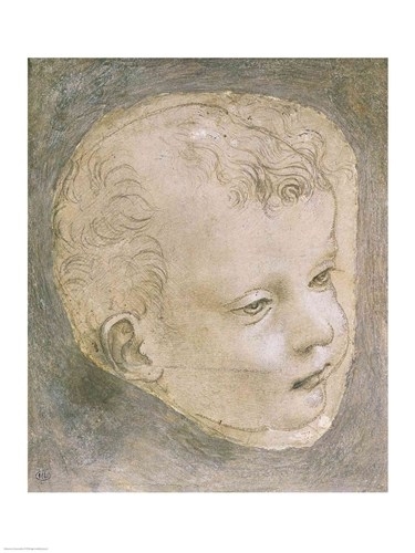 Leonardo da Vinci baby ( www.bandagedear.com)