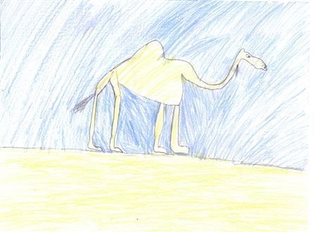 A Camel (THEY RIDE THEM MOST OF TIME ) (I Drew (Me))