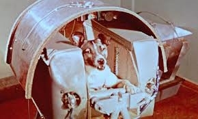 Laika in the cockpit (theguardian.com)