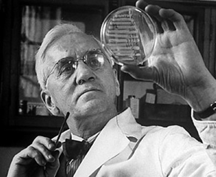 Fleming's famous discovery. (http://www.sciencelogs.com/ ())
