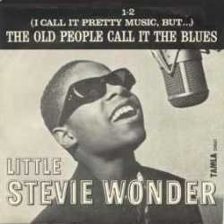 Little Stevie Wonder  (http://www.nndb.com/people/535/000022469/ ())