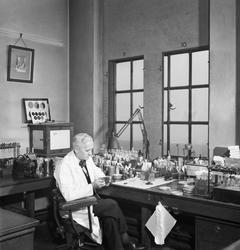  (www.iwm.org.uk ())