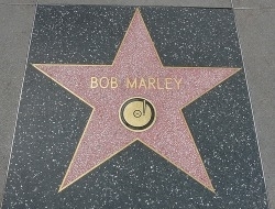 ( (bobmarley120.weebly.com))