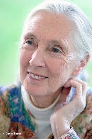 Nowadays Jane Goodall