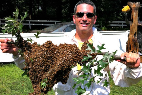 Bees Without Borders, founded by Andrew Coté, is a lean organization that goes only where invited. It has no board of directors or marketing department.  <P>Courtesy of Andre Coté, Andrew's Honey