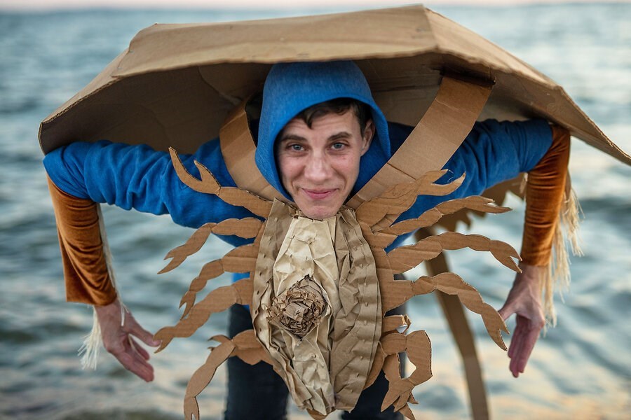 Picture of Meet the coast’s living fossils. Horseshoe crab gets an image boost from artists.