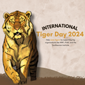 Picture of International Tiger Day