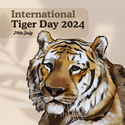 Picture of International Tiger Day